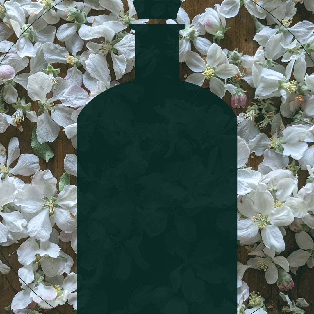 Long-lasting blooming