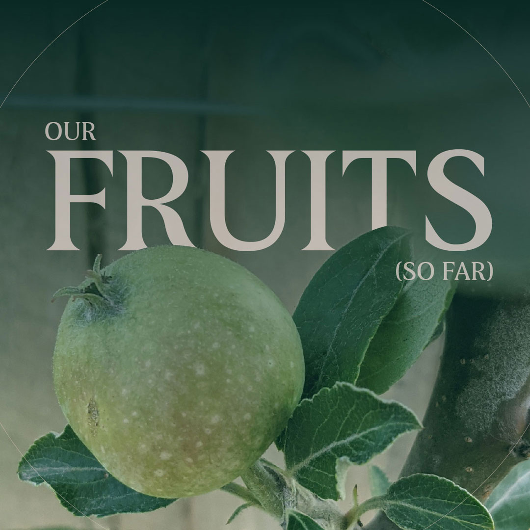 Our fruits (so far)